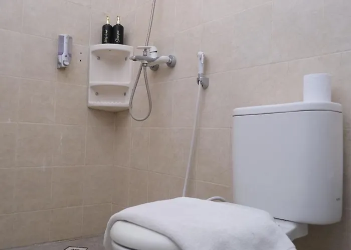 Guest house Tentram 3*